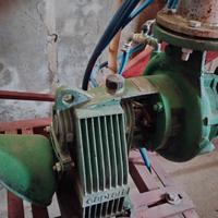 pompa caprari mec D2 65 