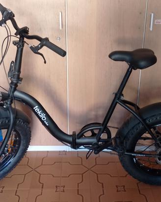Bici pieghevole 