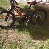 Bicicletta Bambino