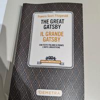 The great Gatsby/il grande Gatsby - ed. Bilingue