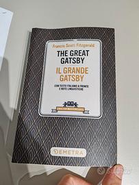 The great Gatsby/il grande Gatsby - ed. Bilingue