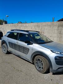 pezzi singoli pezzi C4 cactus