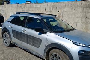 pezzi singoli pezzi C4 cactus