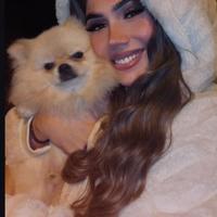 Volpino di pomerania