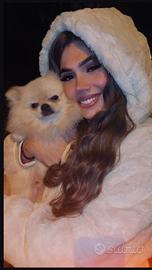 Volpino di pomerania