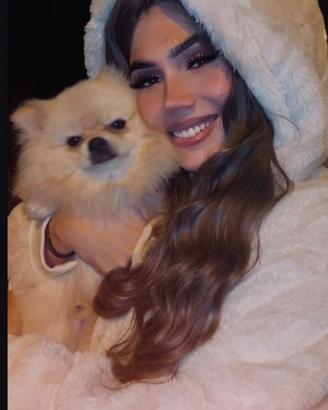 Volpino di pomerania