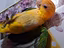 Immagine 3