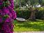 Immagine 28