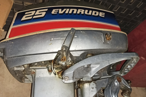 Evinrude 25
