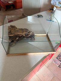 Tartarughiera in vetro con isola e base in legno