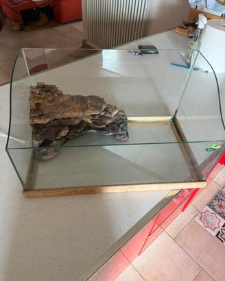 Tartarughiera in vetro con isola e base in legno