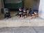 Immagine 1