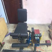 Leg Curl e Leg exstention 