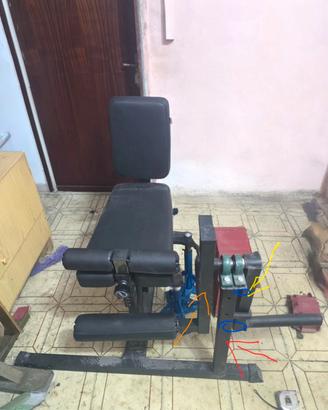 Leg Curl e Leg exstention 