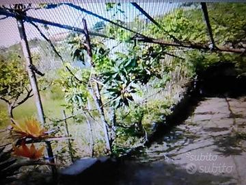 Terreno agricolo spadafora