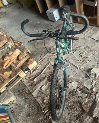 Bicicletta adulto