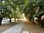 Immagine 29