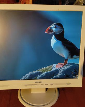 Monitor 17" Philips 170S5