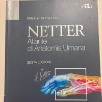Atlante di Anatomia Umana, Netter