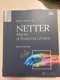 Atlante di Anatomia Umana, Netter