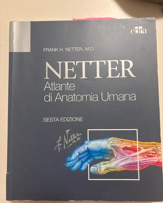 Atlante di Anatomia Umana, Netter