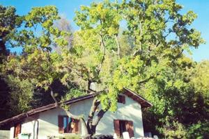 Villino immerso nel relax e la natura