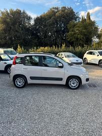 Fiat Panda 1.2 Lounge CINGHIA DISTR. CAMBIATA