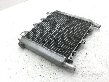 APRILIA SCARABEO LIGHT 300 RADIATORE ACQUA LIQUIDO