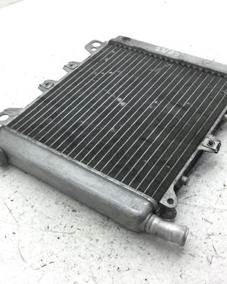 APRILIA SCARABEO LIGHT 300 RADIATORE ACQUA LIQUIDO