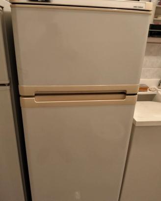 FRIGO REX