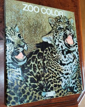Libro Zoo Color