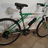 Bicicletta d'uomo bianchi