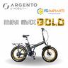 e-bike-argento-mini-max-gold-bici-elettrica-pieghe