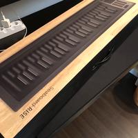 Roli Seaboard Rise 49