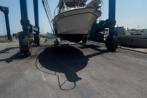 Grady White Marlyn 300