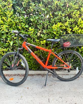 Bicicletta MTB da bambino