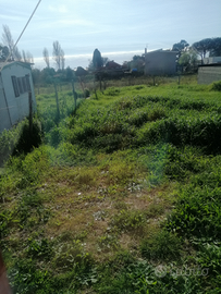 Terreno più contanir