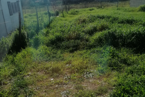 Terreno più contanir