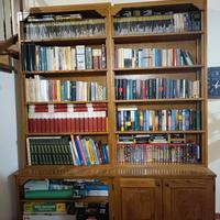 Libreria artigianale in legno massello, frassino