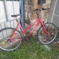 Mountain bike