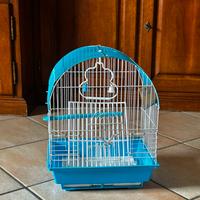 Gabbia per uccelli nuova