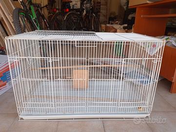Gabbia per uccelli