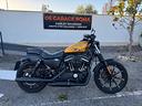 harley-davidson-sportster-883-iron-custom-color