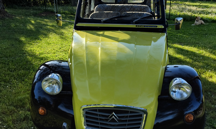 Citroen due cv Charleston