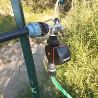 Vendita terreno con ulivi