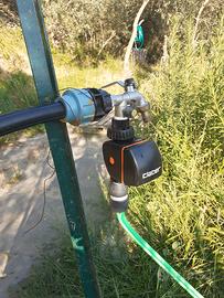 Vendita terreno con ulivi