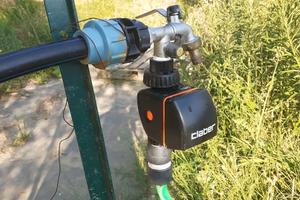 Vendita terreno con ulivi