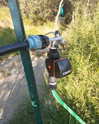 Vendita terreno con ulivi