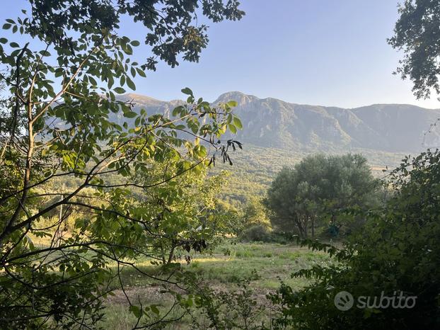 Terreno Agricolo Roccagloriosa