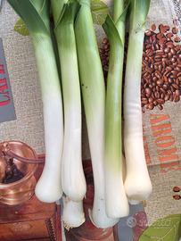 BULBILLI DI AGLIO TURCO